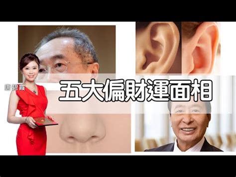 豬膽鼻 面相|鼻子面相圖解 (二) 鼻形 